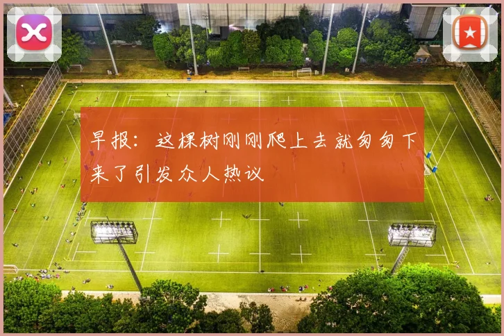 早报：这棵树刚刚爬上去就匆匆下来了引发众人热议