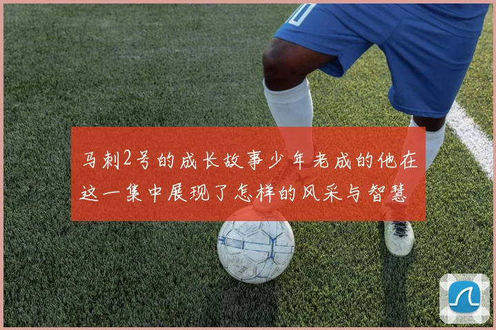 马刺2号的成长故事少年老成的他在这一集中展现了怎样的风采与智慧